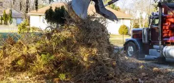 handyman-melbourne-palm bay-[seasonal] urban-emergency-service-removes-a-tree-1500
